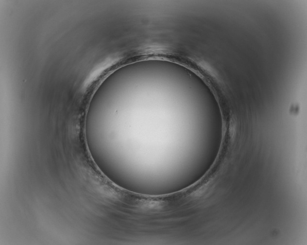 X0000112111309200908111432