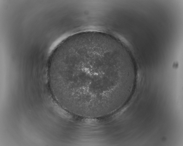 X0000112111310200908111432