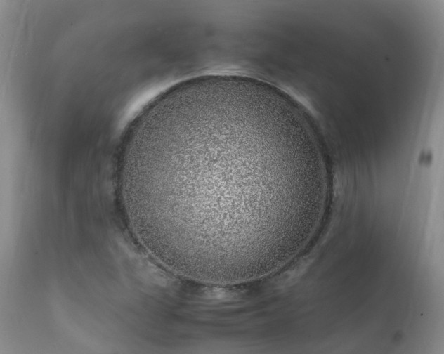 X0000112111311200908111432