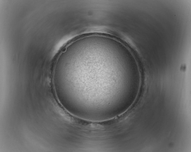 X0000112111312200908111432