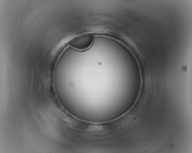 X0000112111315200908111432