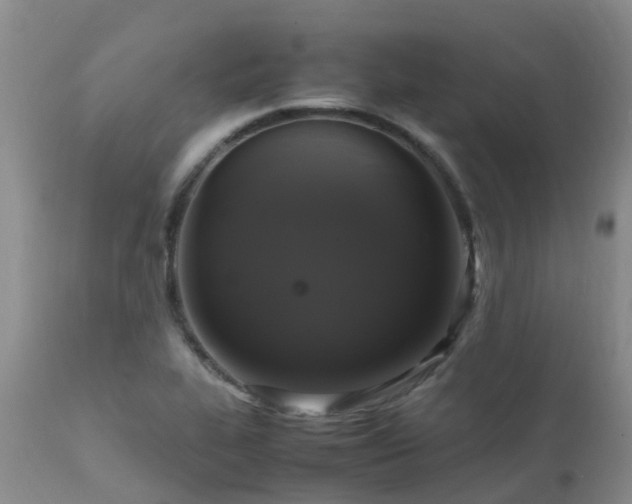 X0000112111319200908111432