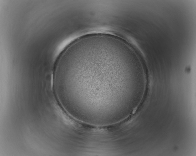 X0000112111320200908111432