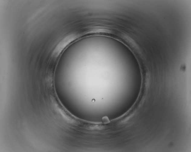 X0000112111321200908111432