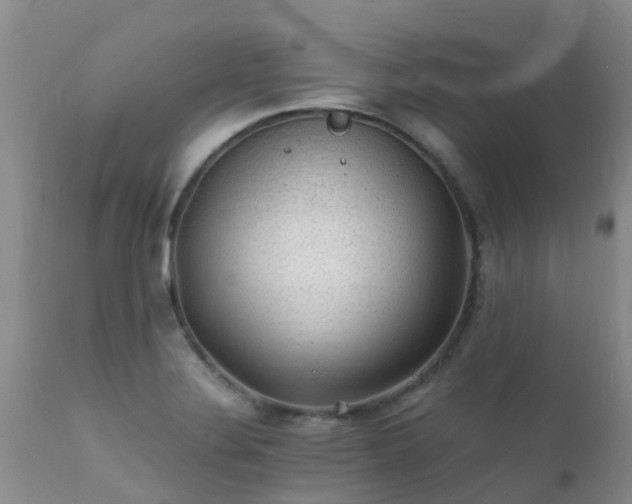 X0000112111324200908111432