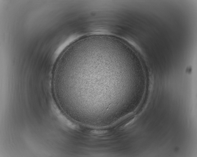 X0000112111325200908111432