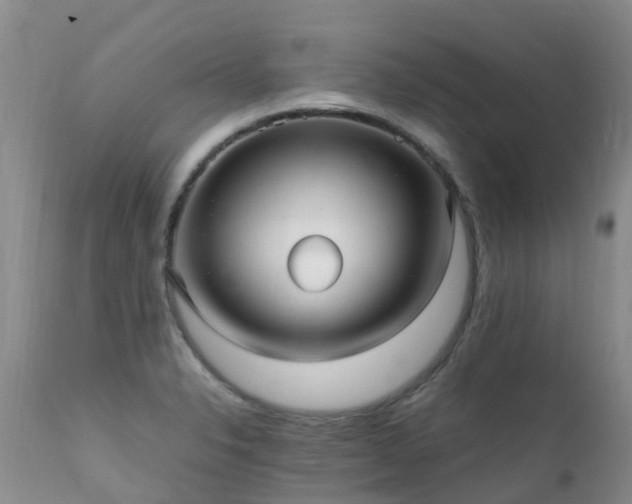 X0000112111326200908111432