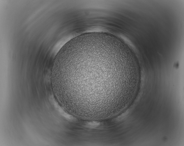 X0000112111329200908111433