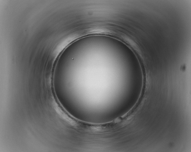 X0000112111330200908111433