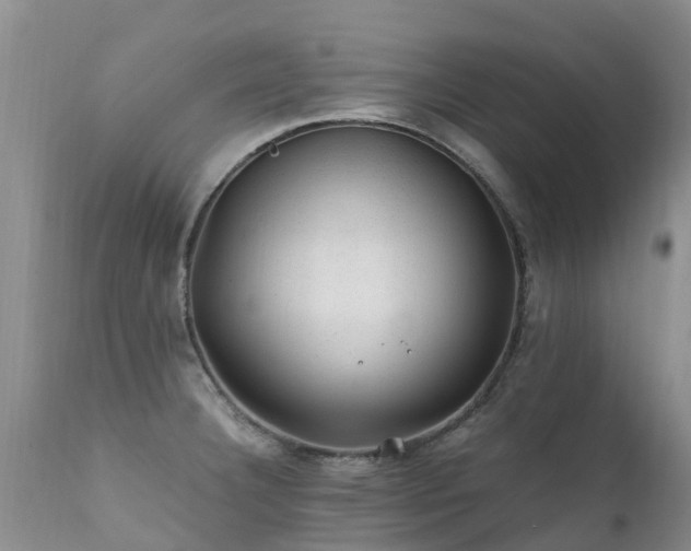 X0000112111332200908111433