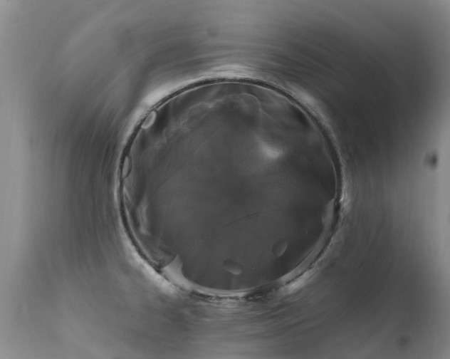 X0000112111334200908111433