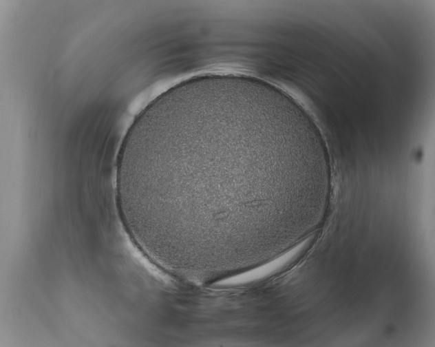 X0000112111335200908111433