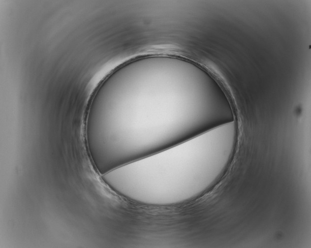 X0000112111336200908111433