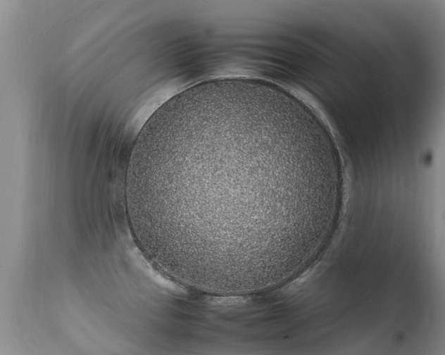 X0000112111337200908111433