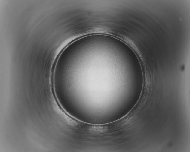 X0000112111339200908111433