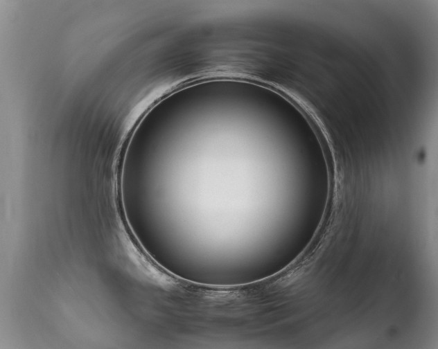 X0000112111341200908111433