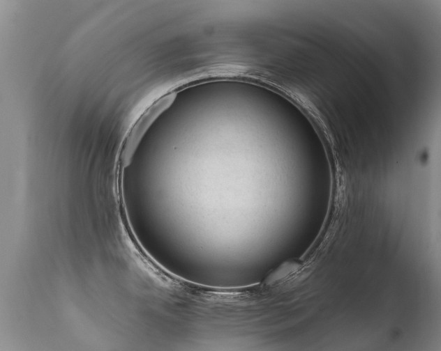 X0000112111342200908111433