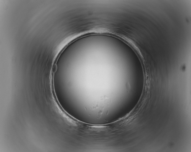 X0000112111343200908111433