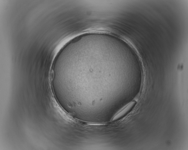 X0000112111344200908111433