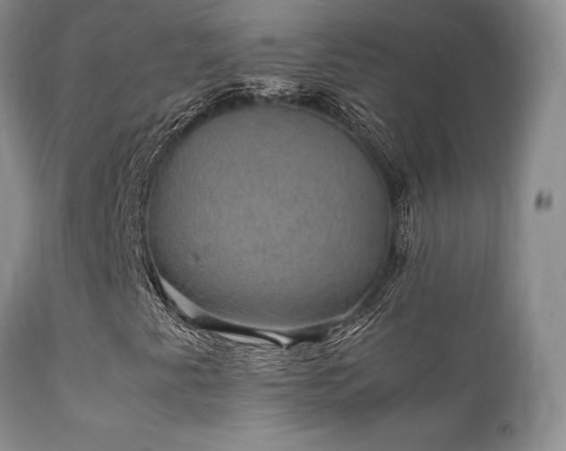 X0000112111345200908111432