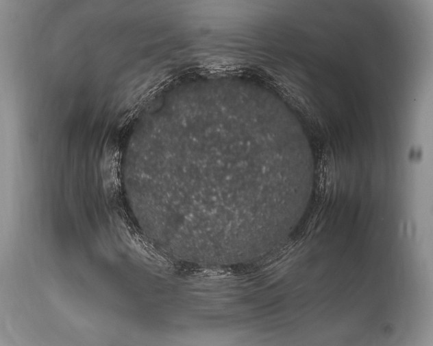 X0000112111346200908111432