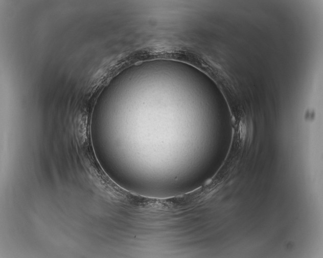 X0000112111348200908111432