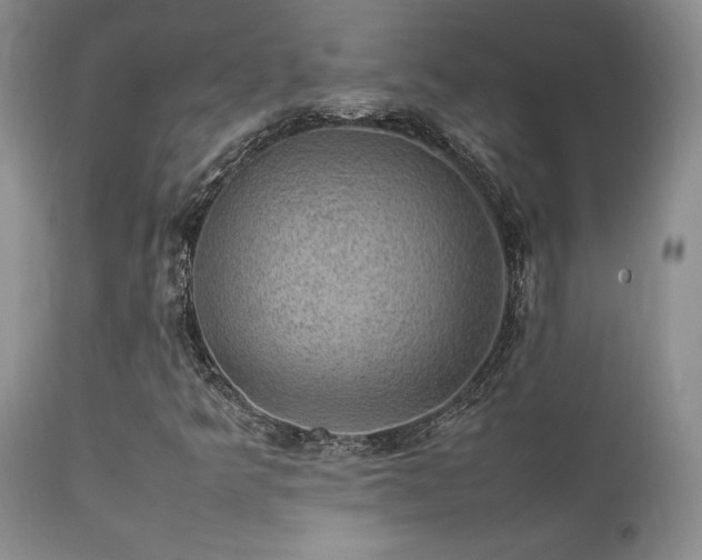 X0000112111349200908111432