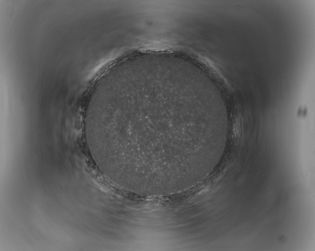 X0000112111350200908111432