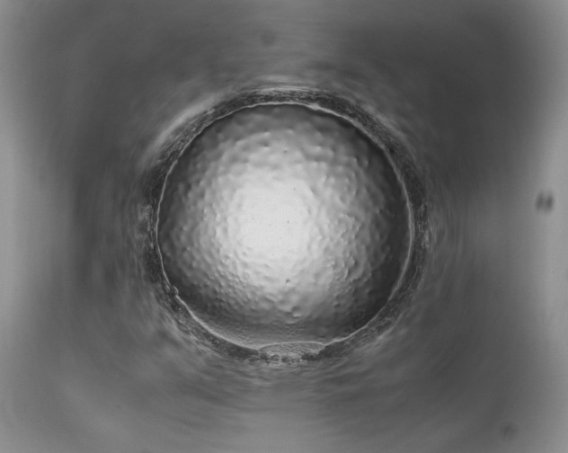 X0000112111351200908111432