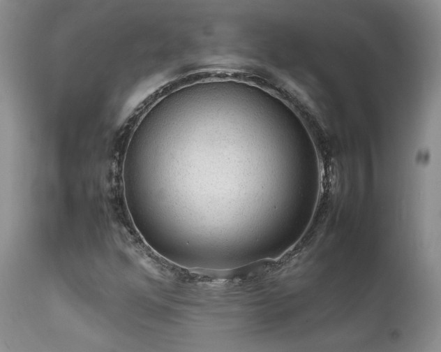 X0000112111352200908111432