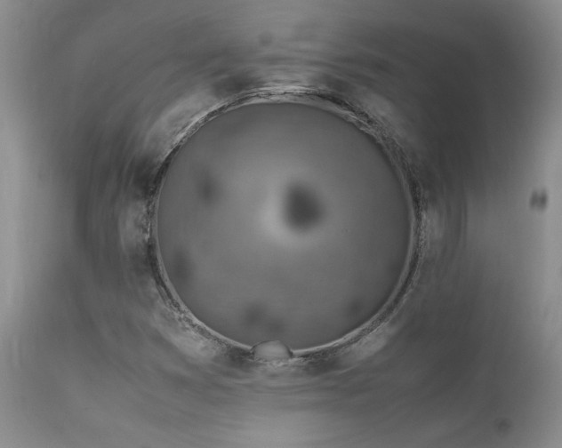 X0000112111353200908111432