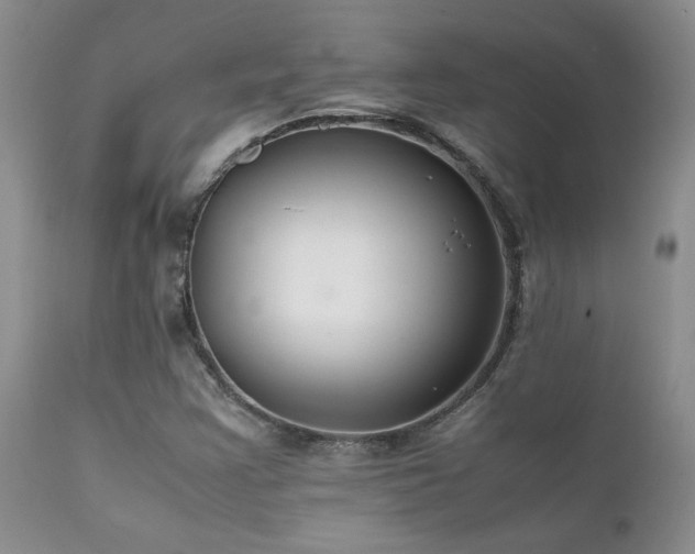 X0000112111355200908111432