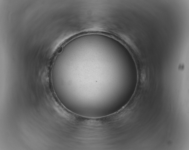 X0000112111356200908111432