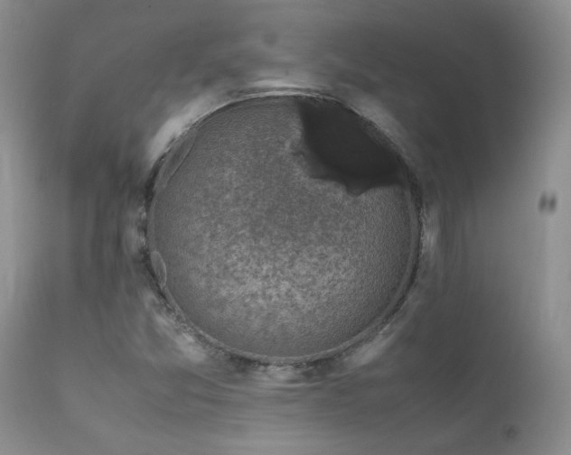 X0000112111357200908111432