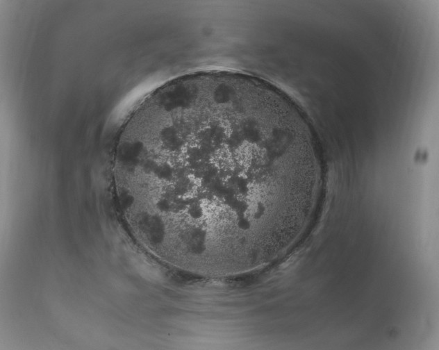 X0000112111359200908111432