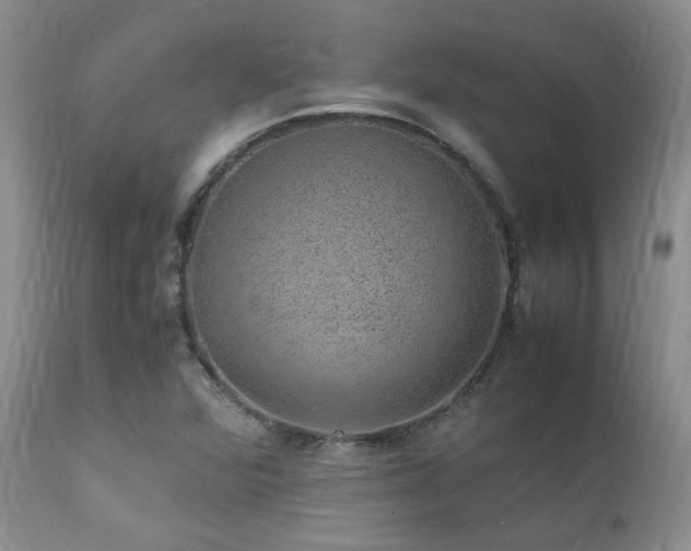 X0000112111360200908111432