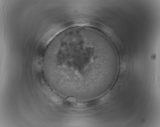 X0000112111361200908111432