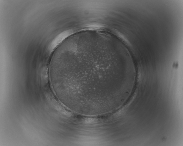 X0000112111362200908111432