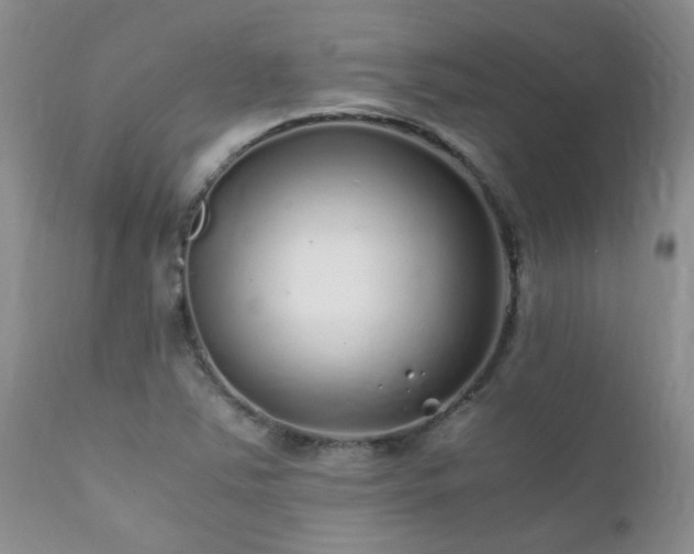 X0000112111363200908111432