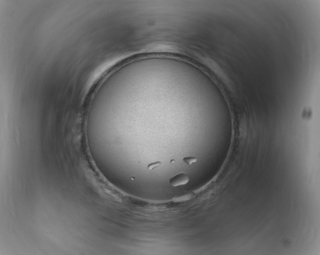 X0000112111364200908111432