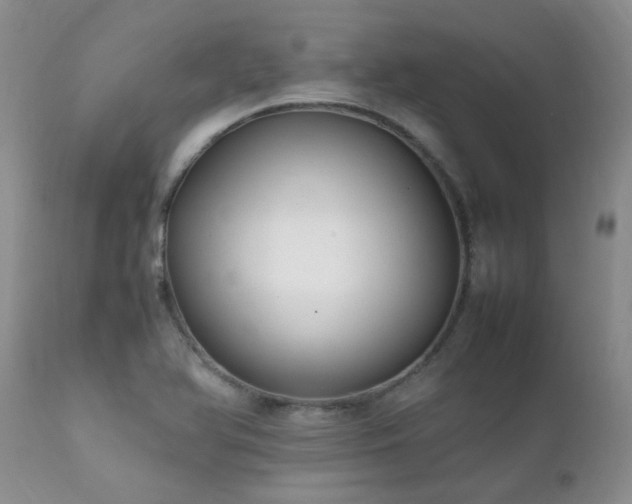 X0000112111366200908111432