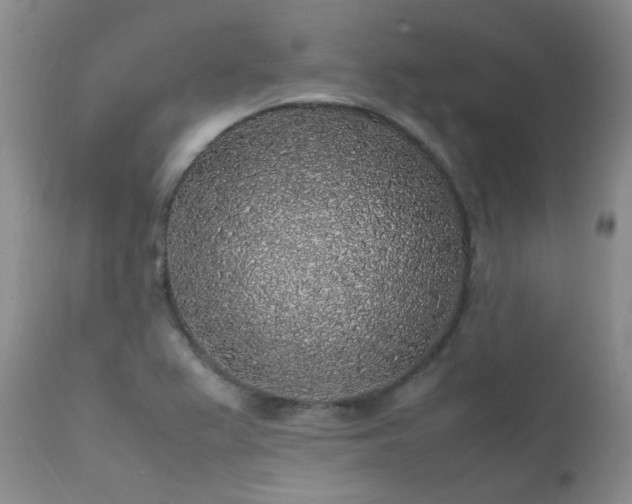 X0000112111367200908111432