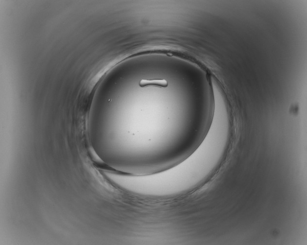 X0000112111369200908111432