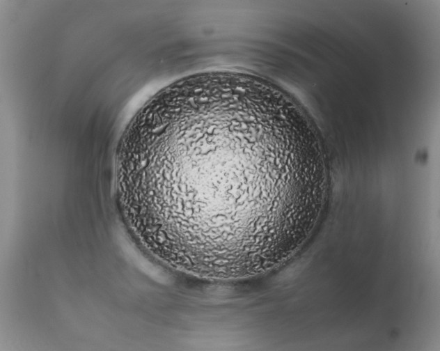 X0000112111371200908111432