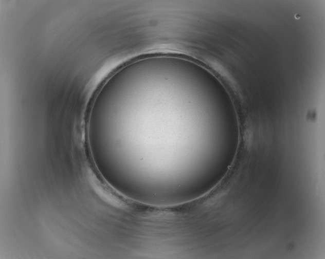 X0000112111372200908111432