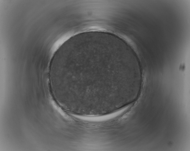 X0000112111373200908111432