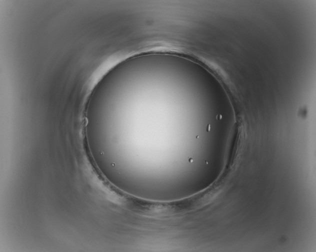 X0000112111375200908111432