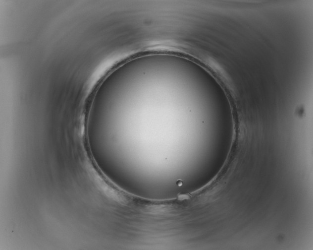 X0000112111376200908111432