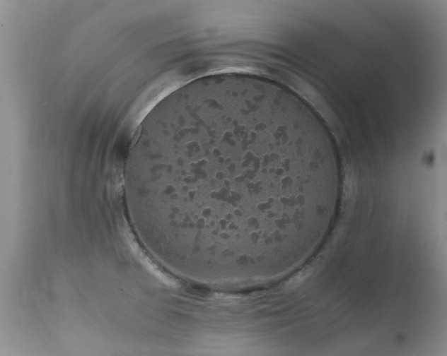 X0000112111377200908111432