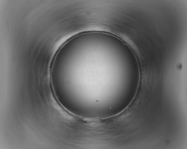 X0000112111380200908111431